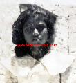 aminath_esjehige.jpg